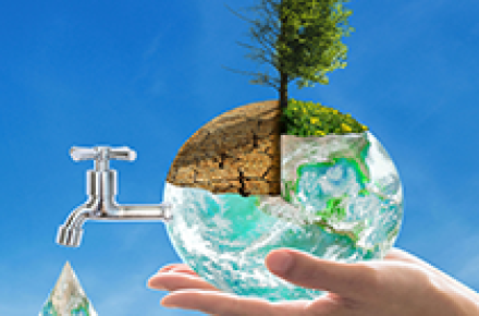 Sustainability